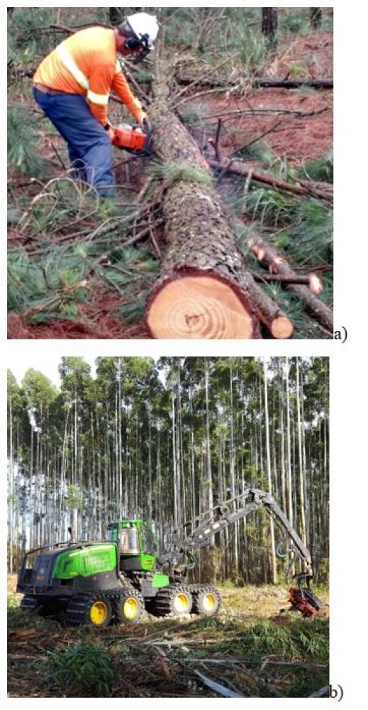 M&eacute;todo semimecanizado (a) e mecanizado (b) de colheita florestal.