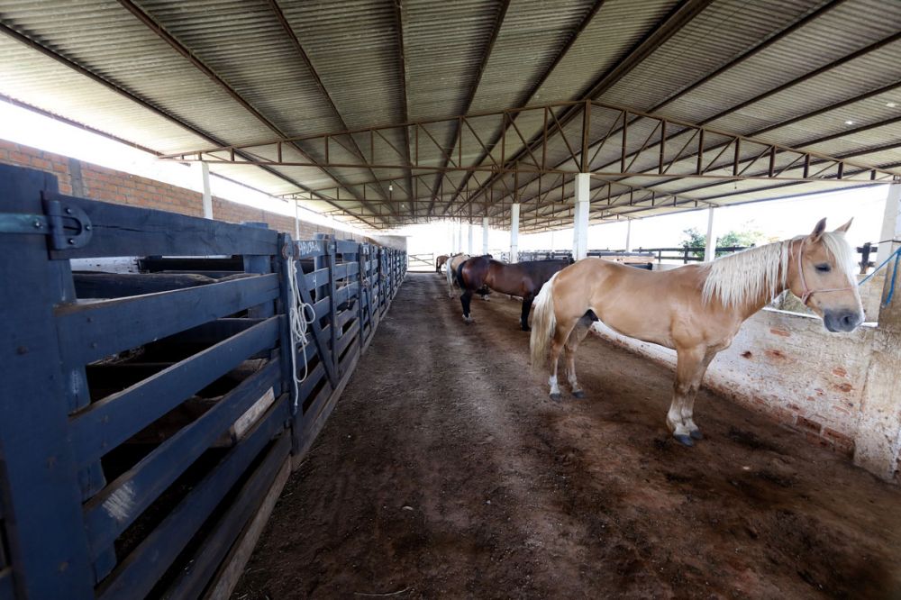 At&eacute; mesmo um hotel para cavalos est&aacute; entre as atividades que geram receita ao sindicato