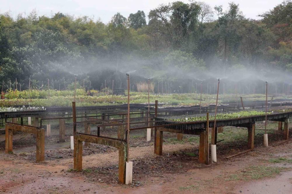 Projetos para irrigação podem depender de outorga de água Divulgação