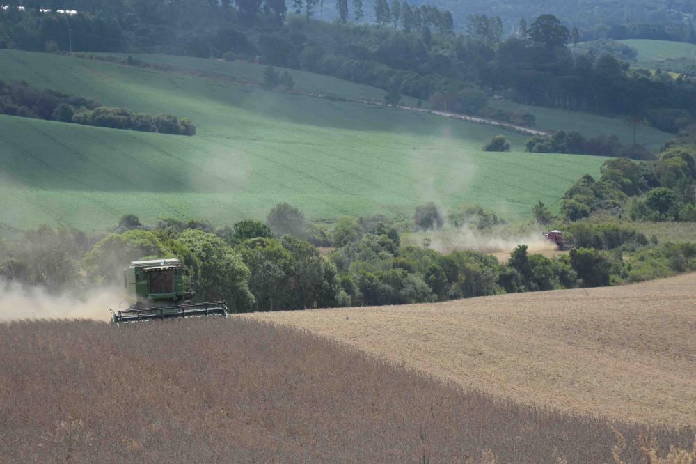 O VBP mostra a evolução do desempenho das lavouras e da pecuária ao longo do ano e corresponde ao faturamento bruto dentro do estabelecimento. Foto Toninho Anhaia
