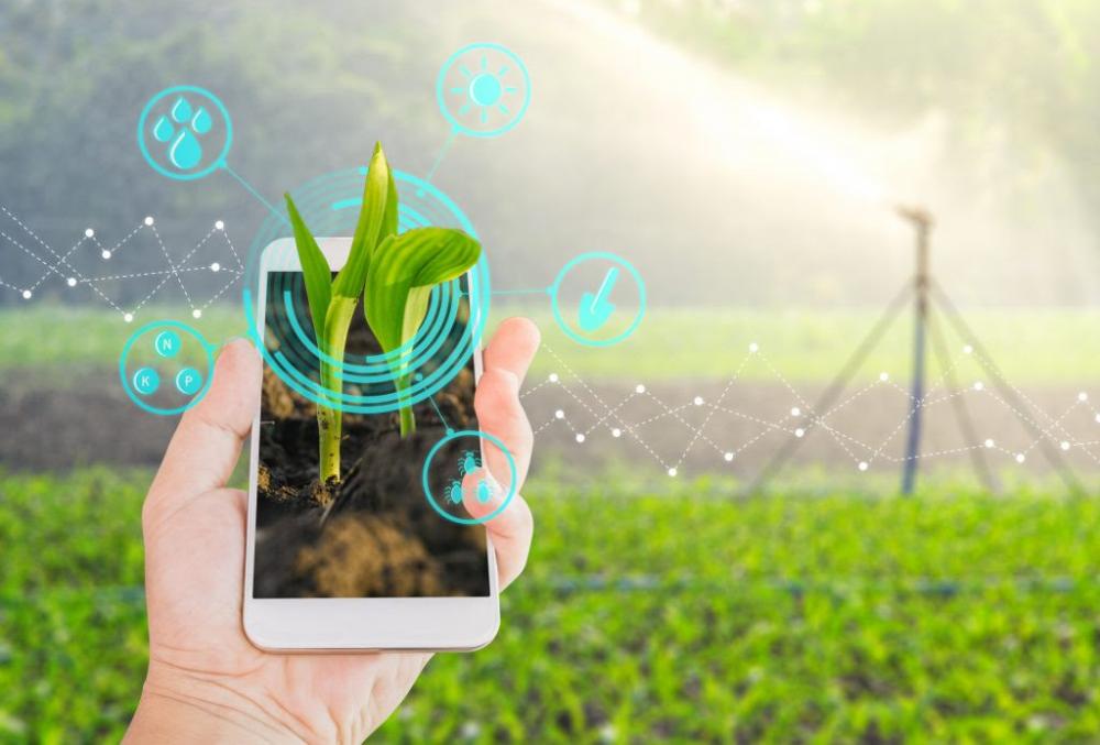 Durante o evento, profissionais renomados no mercado explicam como o uso da tecnologia é benéfico para a atividade comercial no meio rural. Ilustração / banco de imagens / reprodução da internet