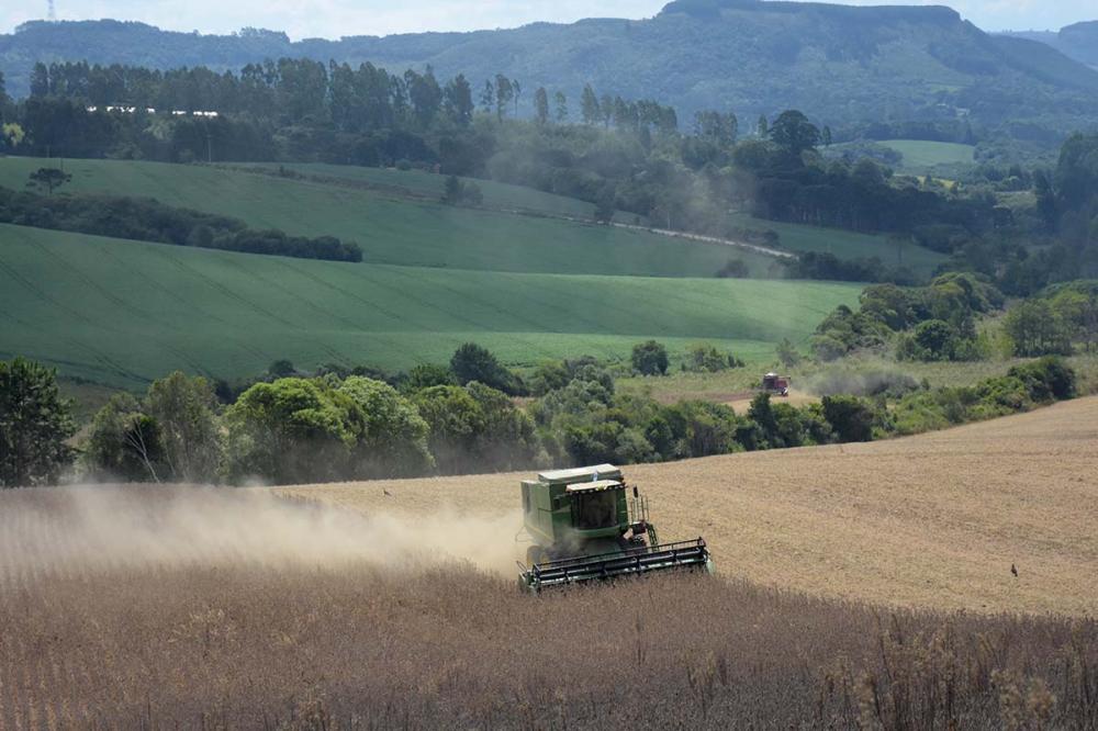 O Governo do Paraná quer taxar a produção agropecuária com o Projeto de Lei 498/2022 e irá atingir a produção de milho, soja, trigo, cana-de-açucar, mandioca, toras, gado, suíno e frango. Foto Toninho Anhaia