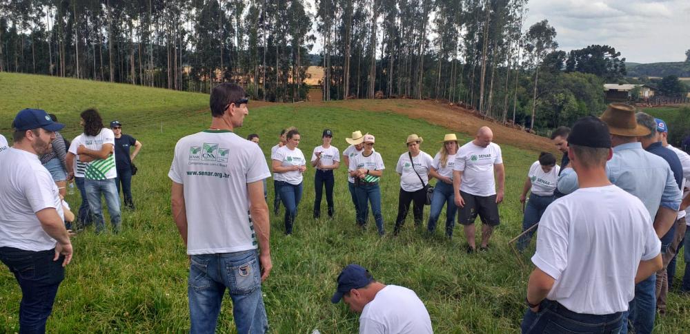 Objetivo foi conhecer na prática o processo produtivo da área da ovinocultura de corte.