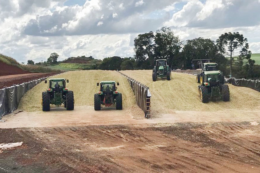 Com participação de mais de 300 produtores, IDR-Paraná realiza o 4º Torneio de Silagem Foto: IDR
