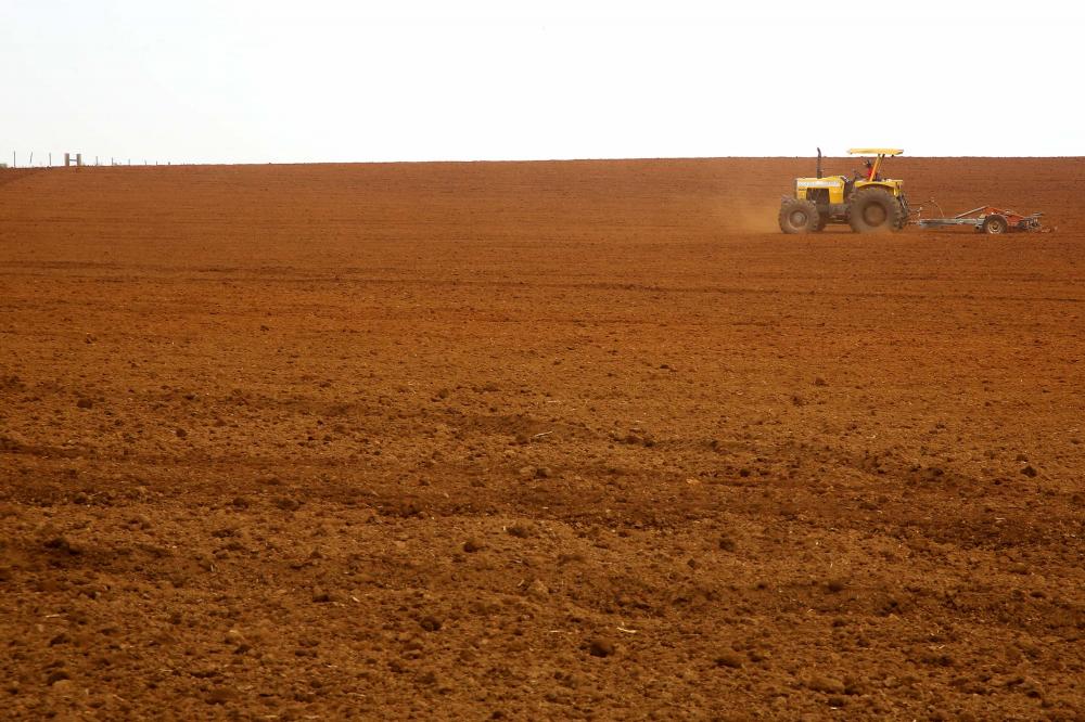 Paraná tem a melhor classificação do Brasil em potencialidade agrícola, segundo IBGE Foto: Jaelson Lucas/Arquivo AEN