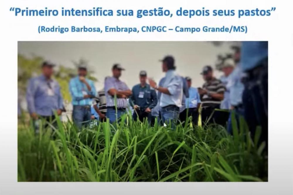 O pecuarista deve olhar para o seu negócio e passar a usar melhor os recursos e as tecnologias que já são aplicadas nele.