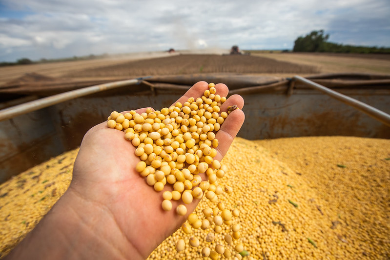 A primeira projeção da ABIOVE para o próximo ciclo aponta para um recorde histórico na produção de soja, 153,5 milhões de toneladas.Foto Sistema CNA/Senar