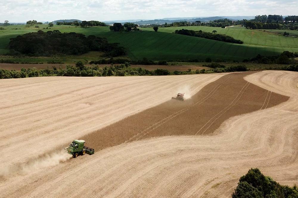 O Observatório da Agropecuária Brasileira sistematiza, integra e disponibiliza um gigantesco conjunto de dados e informações da agricultura e pecuária do país - e também mundial -, tornando-se, assim, uma inovadora solução tecnológica. Foto Toninho Anhaia