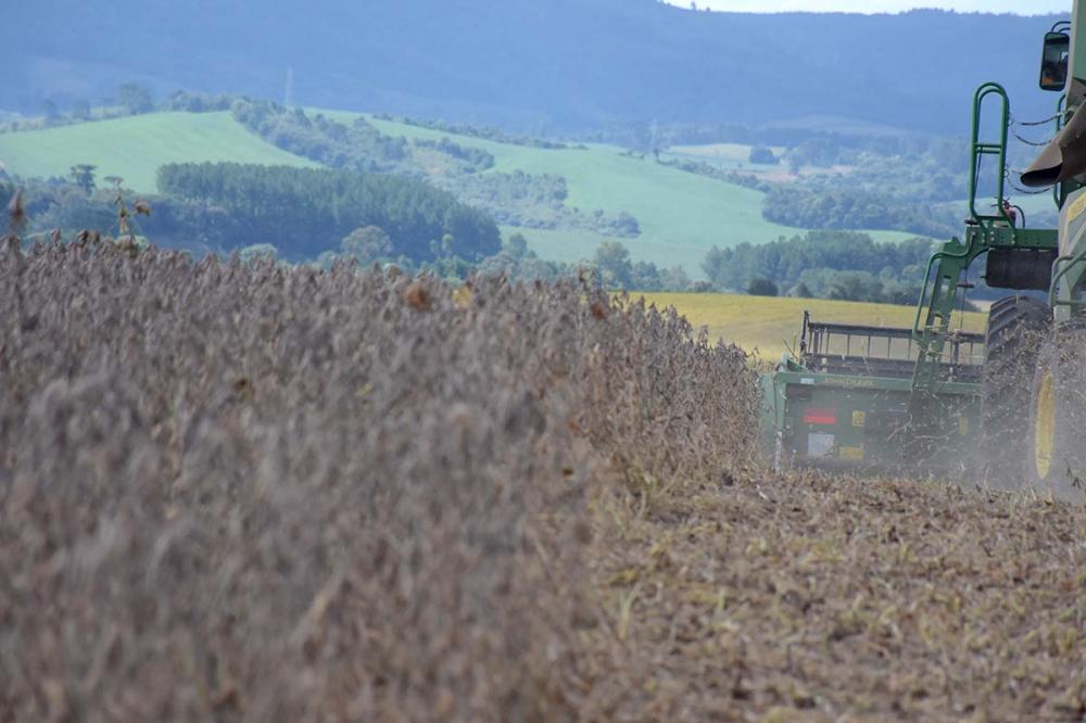 Estudo do Mapa e em conjunto com a Embrapa e Instituto Brasileiro de Geografia e Estatística (IBGE), indica que hoje as mulheres administram mais de 30 milhões de hectares (8,4% das áreas rurais do país). Foto Toninho Anhaia