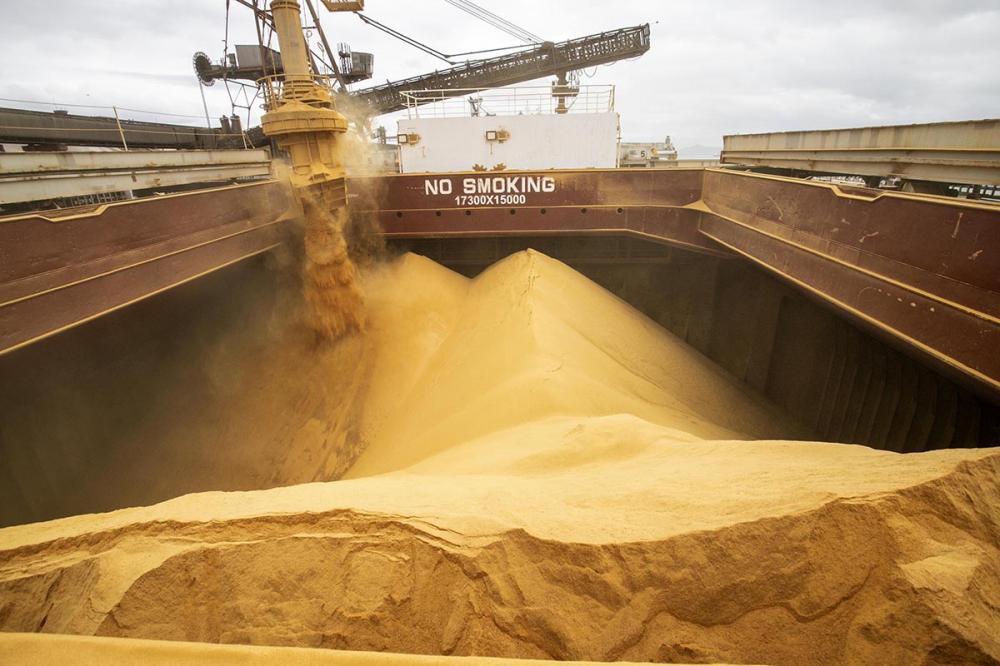 Porto de Paranaguá tem alta de 11,73% nas movimentações de grãos pelo Corredor Leste - Foto: Cláudio Neves/Portos do Paraná