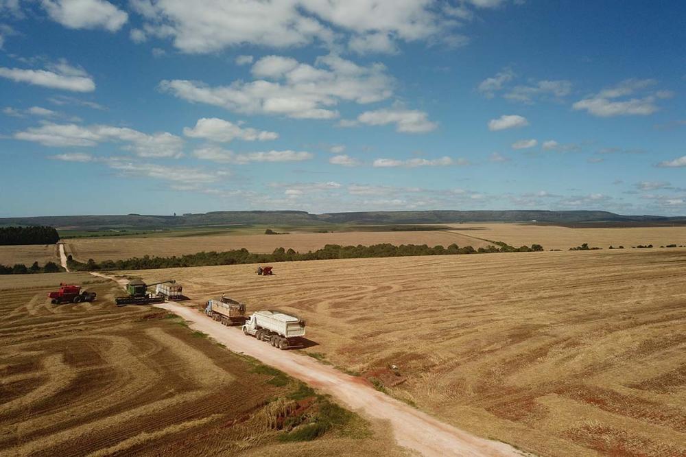 Os resultados dos municípios do Interior do Estado estão diretamente relacionados à pujança do setor agropecuário. Foto Toninho Anhaia