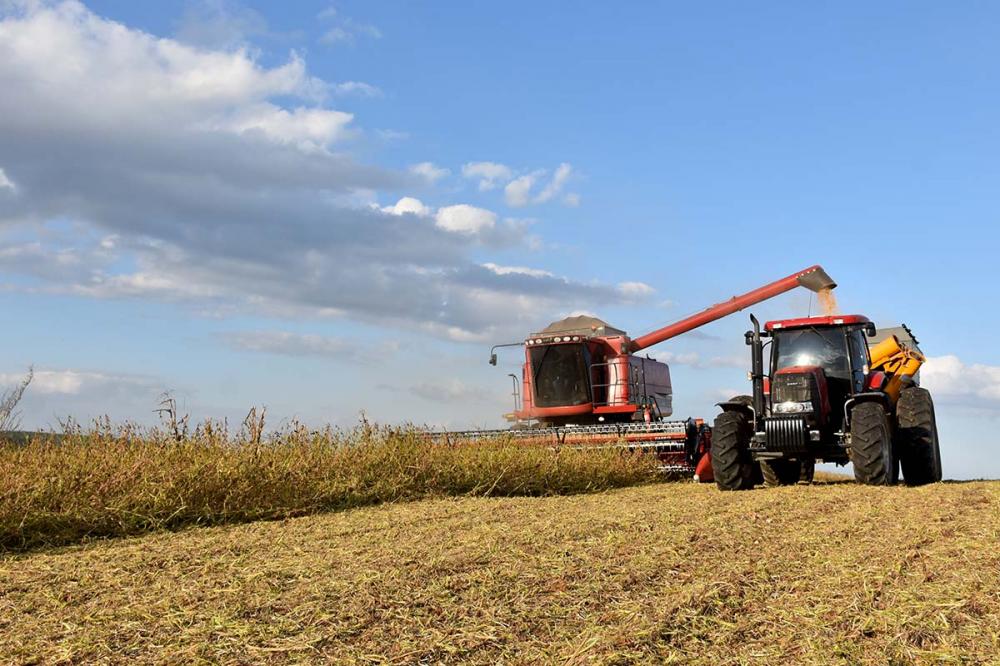 Segundo o diretor-presidente do Ipardes, Marcelo Curado, o resultado pode ser explicado, em parte, pelo aumento dos investimentos no ramo agroindustrial. Foto Toninho Anhaia