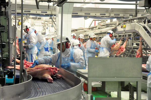 A aprovação proporcionará a modernização do processo de fiscalização da agropecuária brasileira, mais segurança jurídica, aprimoramento ainda maior dos produtos agropecuários e capacidade de pronta atuação dos agentes de fiscalização e redução de gastos 