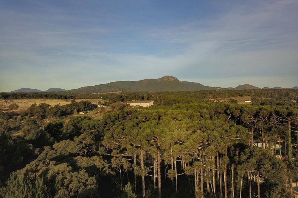 Paraná terá lei específica para integrar o Consórcio Interestadual sobre o Clima Foto: AEN