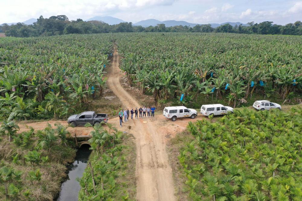 Com foco em inovação, defesa agropecuária do Paraná ganhou impulso nos últimos anos Foto: SEAB