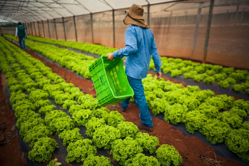 O instrumento é utilizado para identificar e qualificar as Unidades Familiares de Produção Agrária (UFPA) da agricultura familiar, os Empreendimentos Familiares Rurais e as formas associativas de organização da agricultura familiar. Foto Sistema CNA/Senar