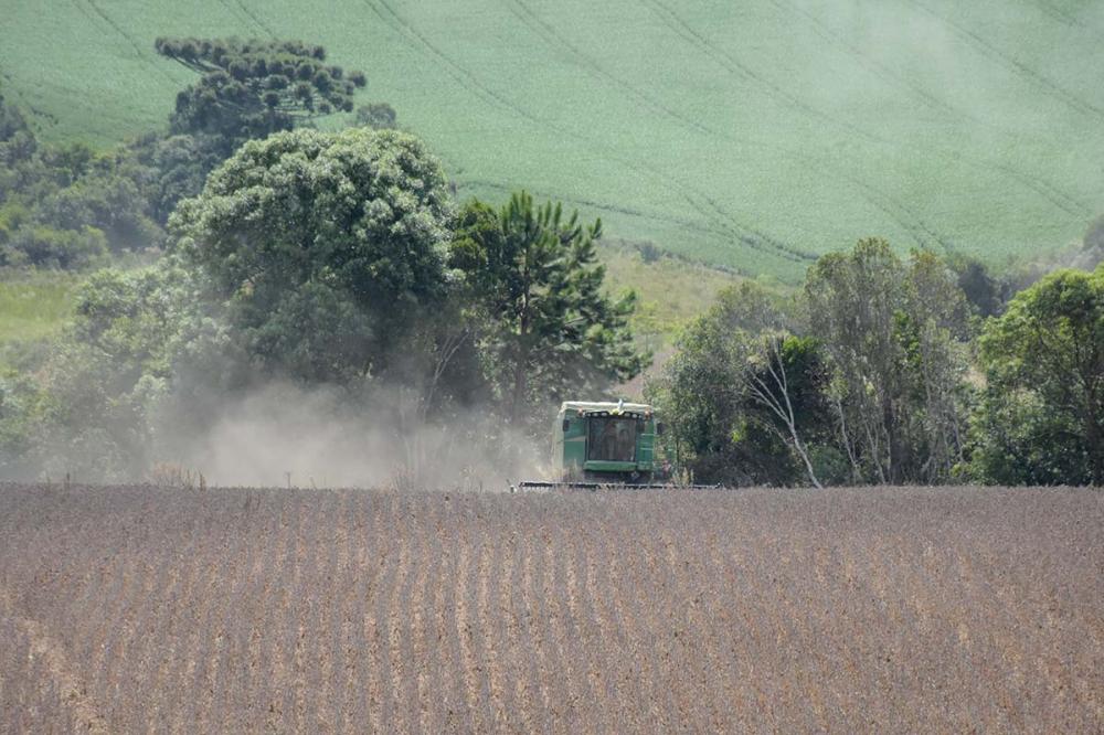 O ano de 2022 foi desafiador para os produtores paranaenses, principalmente devido ao clima, que prejudicou a produção agrícola e gerou aumento nos custos de produção. Foto Toninho Anhaia.