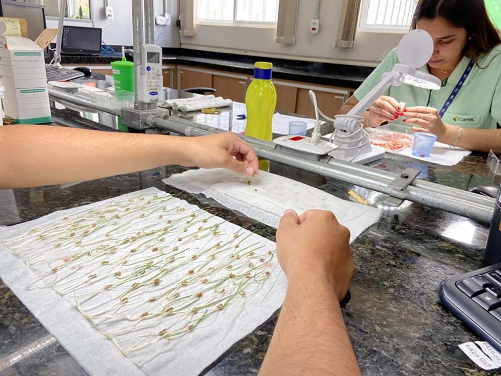 O LAS é credenciado pelo Ministério da Agricultura, Pecuária e Abastecimento (Mapa) sendo regido por boas práticas laboratoriais, instruções normativas específicas e seguindo rigidamente as exigências da ABNT NBR ISO/IEC 17.025, norma desenvolvida para a 