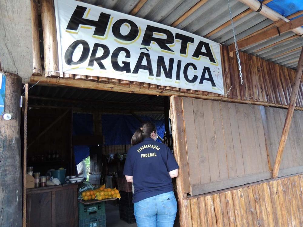 Fiscalização de produtos orgânicos no interior de São Paulo (Foto: Ana Maio/SFA-SP)