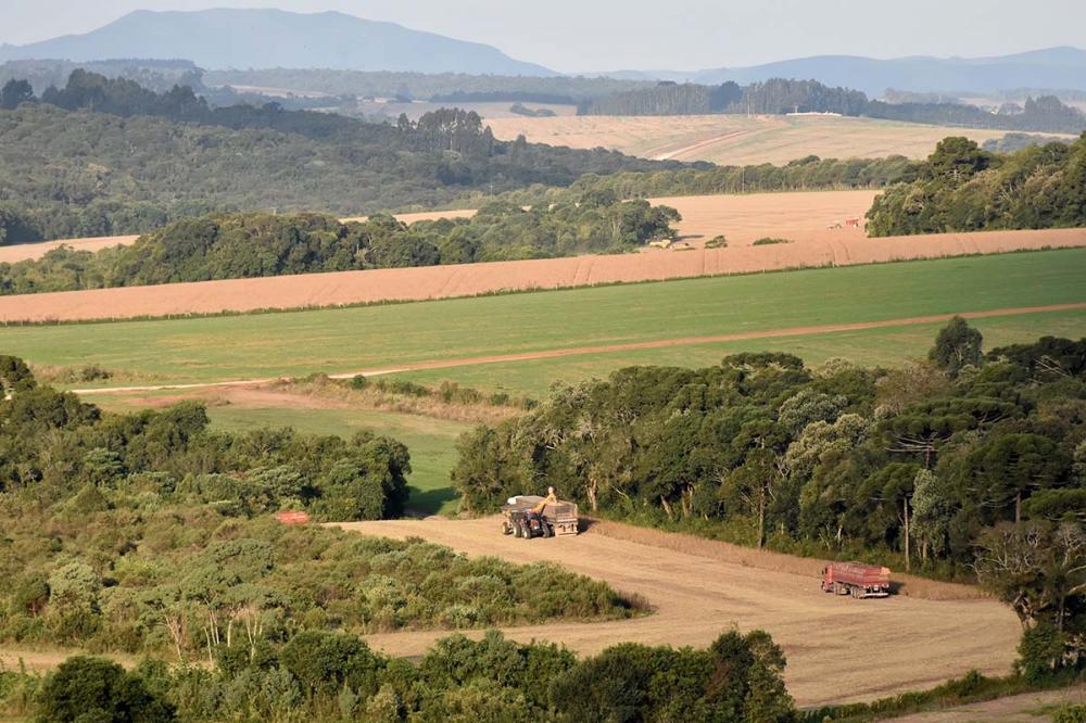 Para empresas que são parte da cadeia do agronegócio, os Fiagros vêm se tornando uma fonte de financiamento interessante. Foto Toninho Anhaia.