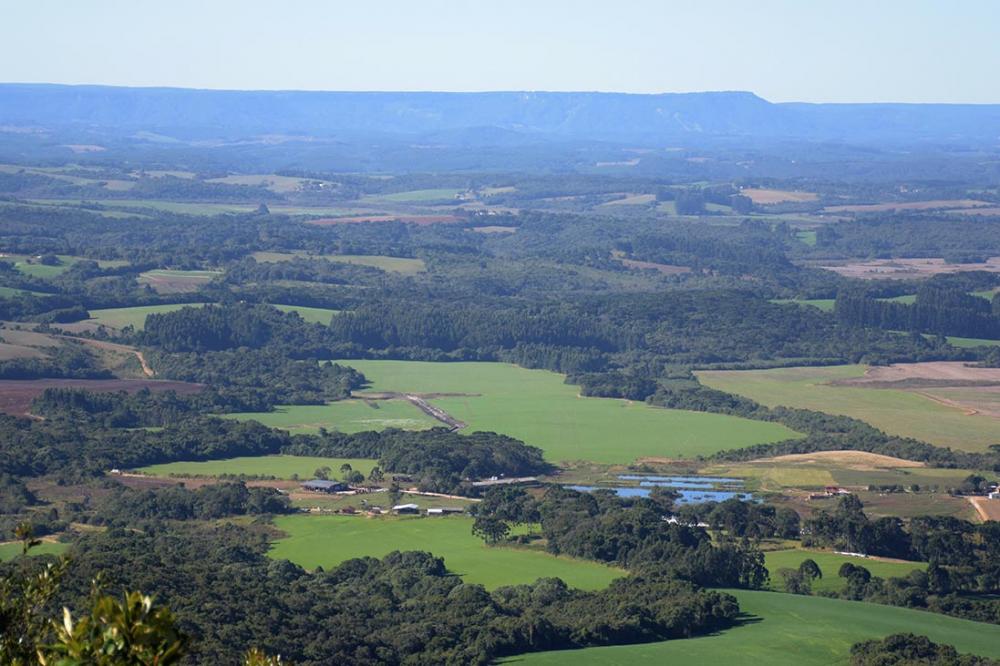 A ideia do Floresta+ é remunerar quem está trabalhando com boas práticas.