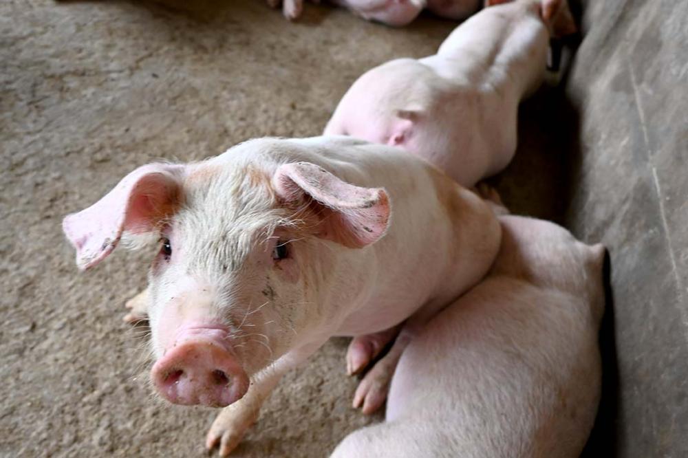 A receita total gerada no ano passado chegou a US$ 2,572 bilhões, resultado 2,6% menor que o registrado em 2021, com US$ 2,641 bilhões. Foto Toninho Anhaia.
