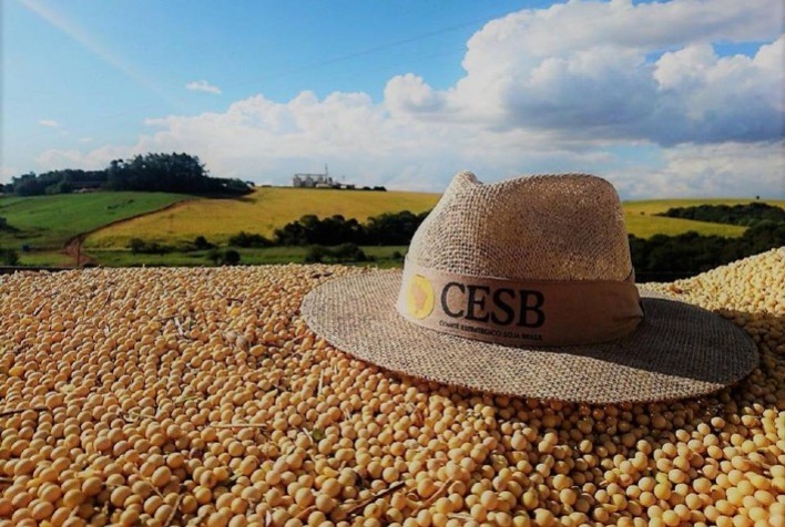 Com base nos resultados obtidos pelos recordistas de produtividade do CESB, Abud observa que existem alguns pontos técnicos importantes a serem considerados para se produzir mais e ser eficiente no uso dos fertilizantes.