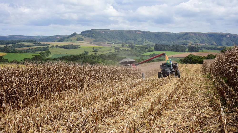 Estima-se que o Brasil exporte 114,9 milhões de toneladas de soja grão (48,9% a mais do que atualmente), e 19,5 milhões de toneladas de soja farelo (9,5% a mais do que o total atual). O milho deve ter um crescimento de 25,2% nas exportações nos próximos d