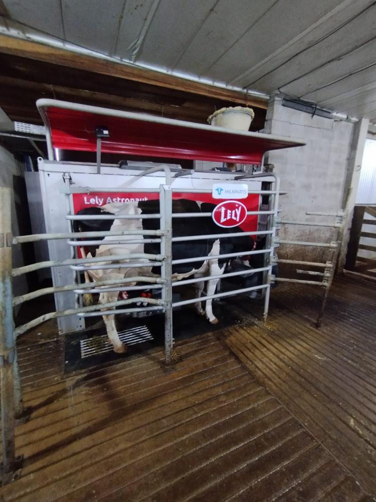 Robô Lely Astronaut A5 Granja Família Rutz