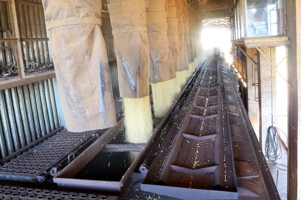 No primeiro quadrimestre de 2020 a estatal registrou ampliação da capacidade de escoamento da safra de grãos e de produtos industrializados que resultou no lucro de R$ 1,66 milhão.