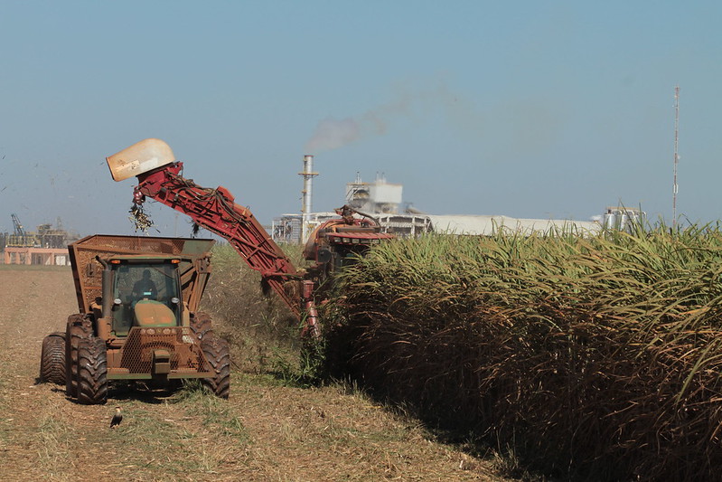 A moagem de cana-de-açúcar na segunda quinzena de dezembro na região Centro-Sul totalizou 2,63 milhões de toneladas, frente ao processamento modesto de 8,5 mil toneladas no mesmo período do ano anterior. Foto Sistema CNA/SENAR.