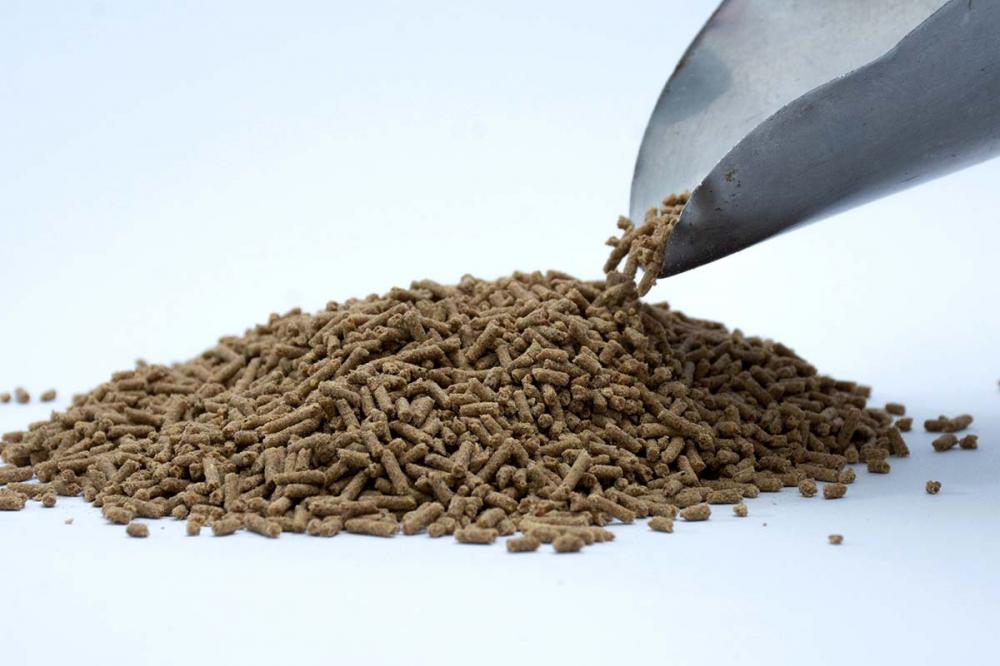 Produção de ração animal no Brasil cresce e caminha para ser um mercado protagonista na economia nacional. Foto divulgação.