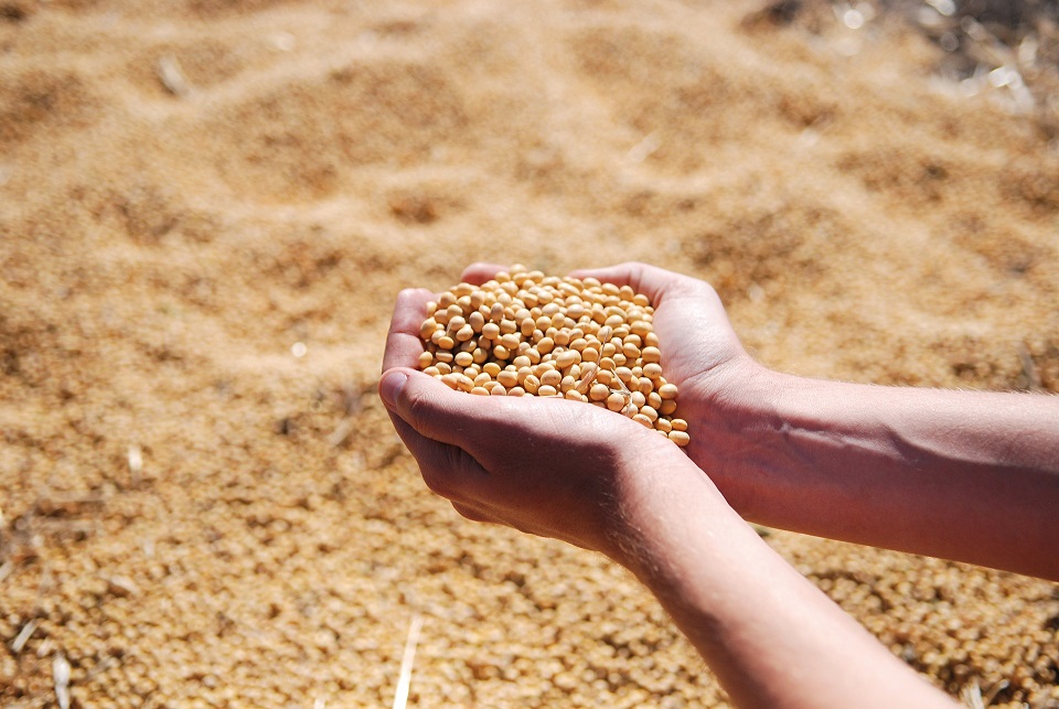 Apesar de uma perspectiva de produção positiva para a safra 22/23, clima ainda preocupa produtores 