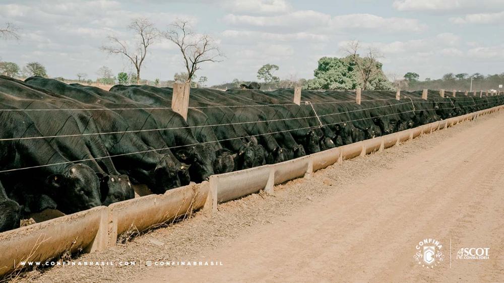 Durante a expedição, são coletadas informações detalhadas relacionadas a manejo, gestão, índices zootécnicos, infraestrutura e nutrição, entre outras. O objetivo é fomentar e divulgar novas tecnologias e boas práticas produtivas aos principais elos da cad