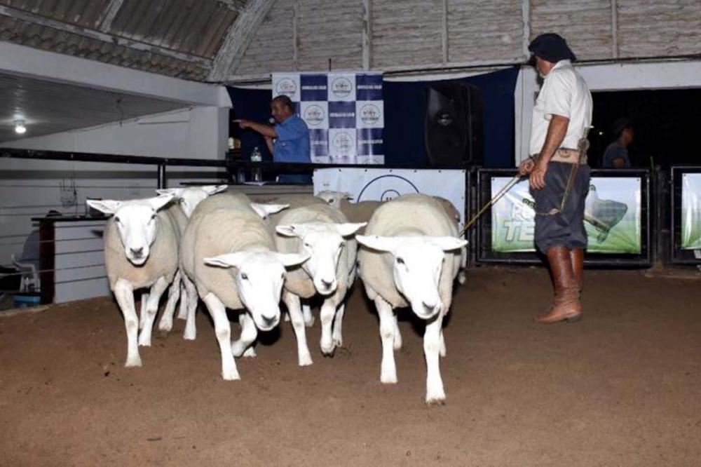 Foto: Gabriel Becco/Divulgação