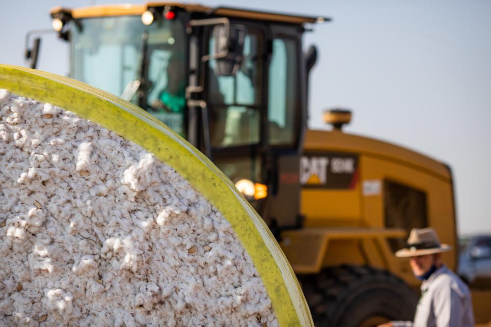 Também foi anunciada hoje a primeira abertura de mercado registrada pelo Brasil em 2023, que é a de algodão em pluma para o Egito. Foto Sistema CNA/Senar.