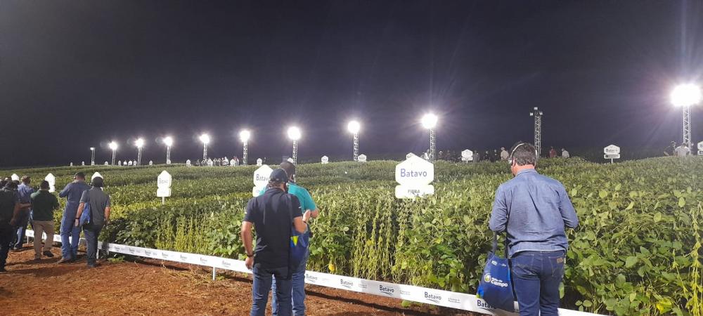 A Noite da Soja está na quarta edição, e em 2023 volta a ser realizada em Carambeí.