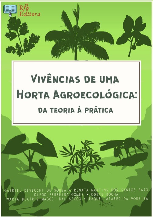 Capa do e-book (Imagem: Divulgação