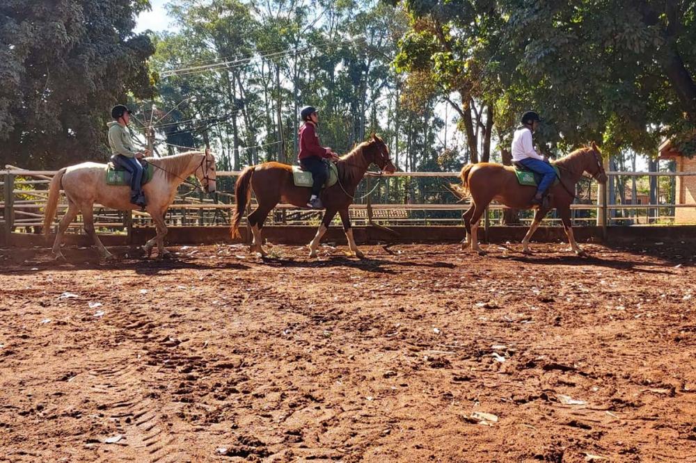 Os exemplares da Raça Mangalarga são muito recomendados para a prática de Equoterapia devido à sua marcha trotada, excelente para auxiliar no tratamento de doenças. Fotos: Divulgação/AEV