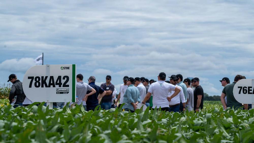 Stine apresenta novas variedades de soja aos produtores