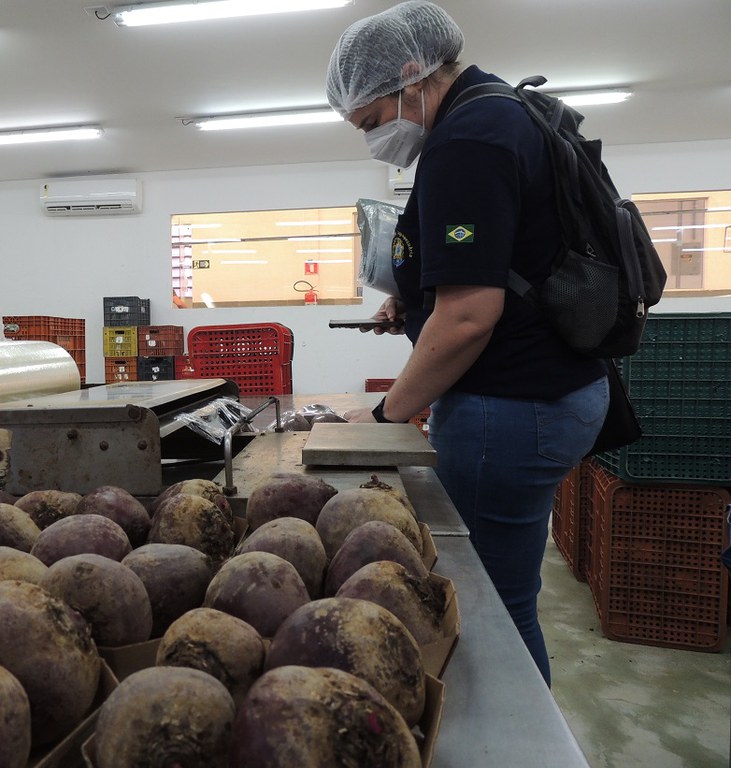 De acordo com Danilo Tadashi Kamimura, chefe da Divisão de Defesa Agropecuária (DDA) da Superintendência Federal de Agricultura no Estado de São Paulo (SFA-SP), a exigência da rastreabilidade vale para grande parte das verduras, frutas e legumes desde 201