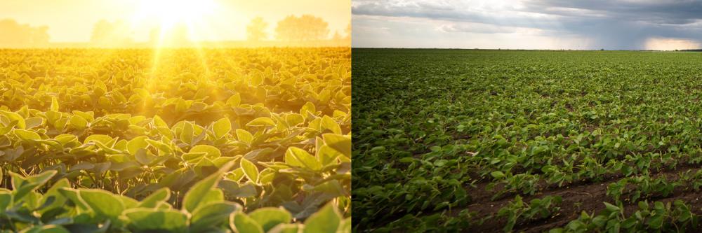 Em fevereiro e março, a previsão é de que as temperaturas médias do Estado sejam um pouco acima da média histórica, mas não de forma significativa, enquanto as chuvas devem seguir dentro do padrão. 