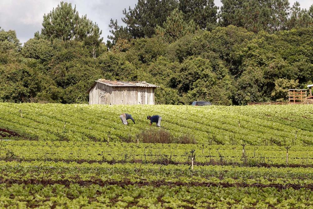 Anova modalidade do PAA – Programa de Aquisição de Alimentos do governo federal que permite atender diretamente o pequeno agricultor individual da agricultura familiar.