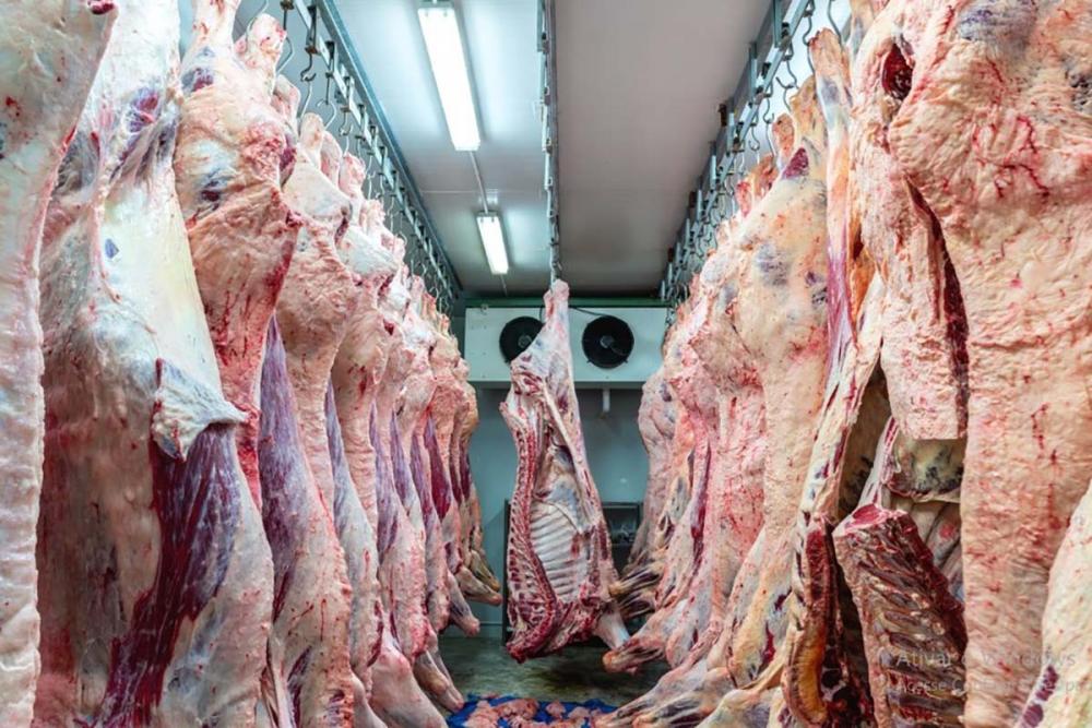 Com o resultado estimado pelo USDA, o Brasil passará a representar 24,60% da exportação global de carne bovina, consolidando-se ainda mais como um dos principais fornecedores.