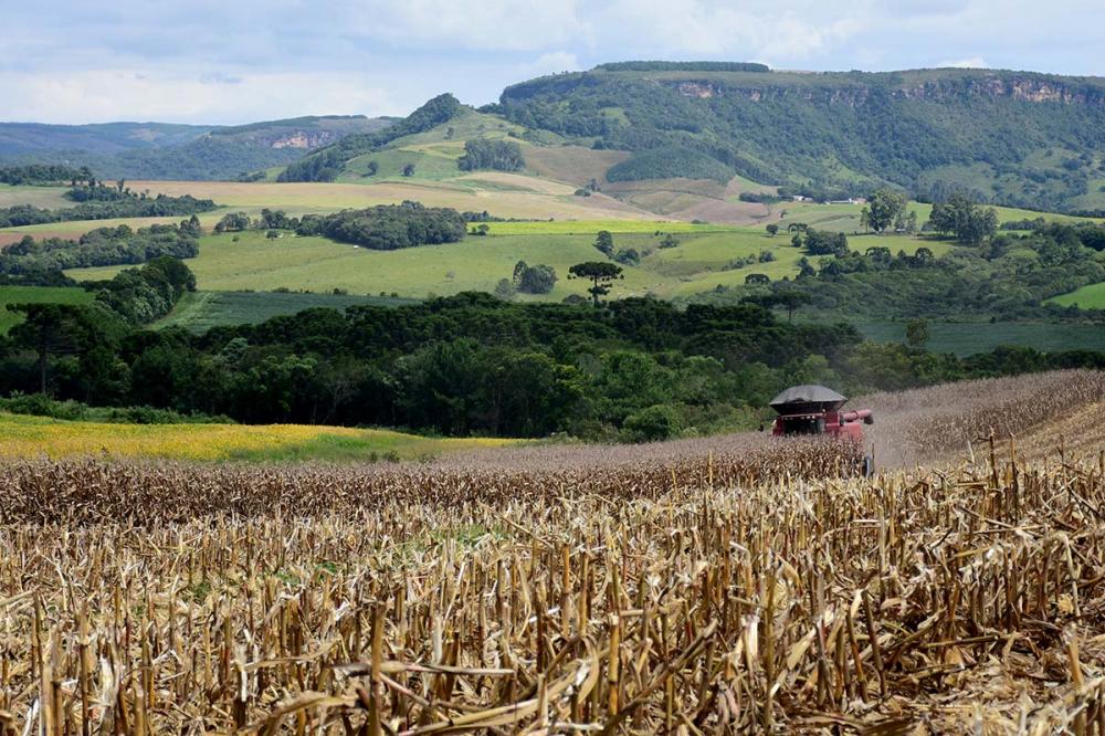 Os Produtores Rurais, tanto pessoa física quanto pessoa jurídica, têm até o final do mês de janeiro para optar por recolher a contribuição do Funrural sobre a receita bruta de sua produção ou sobre a folha de pagamento de seus empregados. Foto Toninho Anh