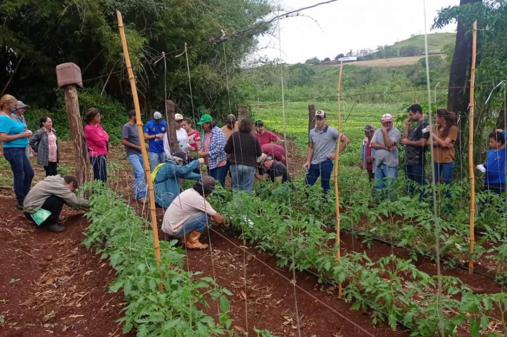 Para incentivar a produção agroecológica, IDR-Paraná investe na capacitação de produtores Foto: IDR-PR