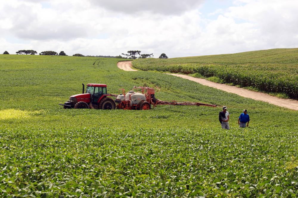 Condições climáticas reduzem previsão, mas expectativa de boa safra paranaense continua Foto: Gilson Abreu/AEN