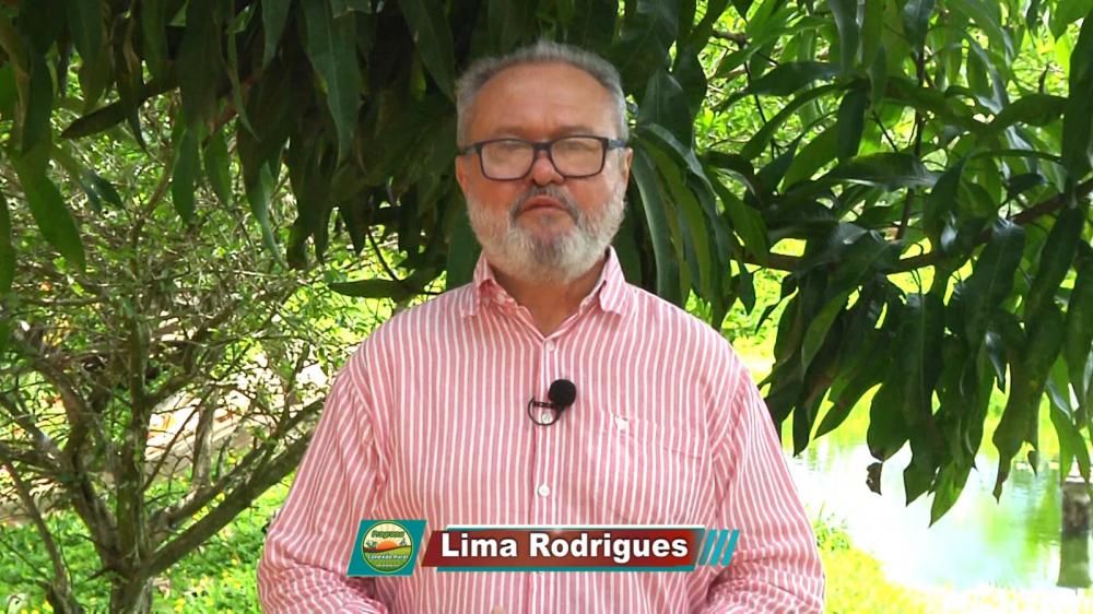 Jornalista Lima Rodrigues