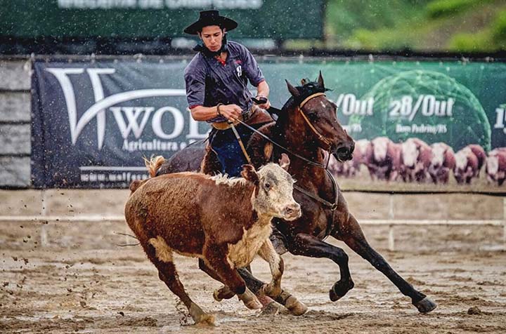 oto: Felipe Ulbrich/Divulgação