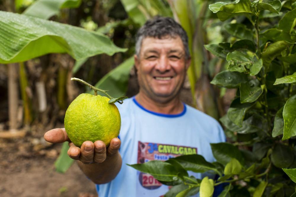 “As compras públicas da agricultura familiar geram renda adicional para manter as propriedades rurais e incentivam a produção de alimentos de qualidade para a população brasileira”, explica Denis Monteiro, agrônomo e secretário executivo da Articulação Na